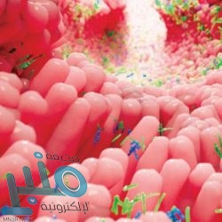 أكثر من 60 وظيفة إدارية وطبية بمستشفى قوى الأمن بمكة لعام 2020م