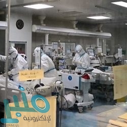 توجيه من “التعليم” لجميع المتقدمين على حركة النقل