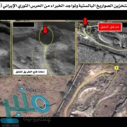 «وزارة التجارة» تضبط عمالة زورت صلاحية ألفي دجاجة فاسدة لتصريفها في أسواق الرياض