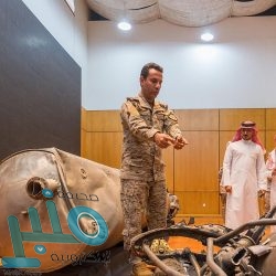 مصر تدين إطلاق الحوثيين صاروخين بالستيين على الرياض وجازان