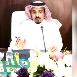 مصر تدين إطلاق الحوثيين صاروخين بالستيين على الرياض وجازان