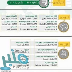 أول تعليق من “المولد” بعد الفوز على الشباب بخماسية