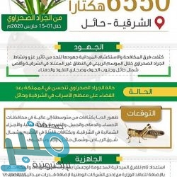 ولي العهد يتلقى اتصالًا هاتفيًا من الرئيس الفرنسي