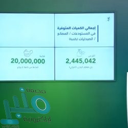 ندوة كشفية عربية عن الاحترازات الضرورية للعمل التطوعي أثناء أزمة كورونا