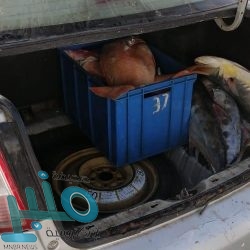 «مدني جدة» يسيطر على حريق المجمع التجاري بحي الصفا