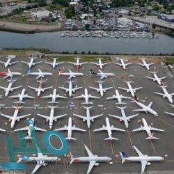 برنامج العمل عن بعد يوفر 7 وظائف في عدة مجالات للعمل عن بعد