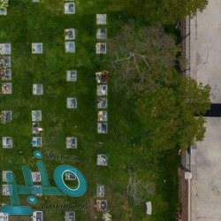 البريميرليغ وأزمة “كورونا”.. حل مؤقت بثلاثة أرباع الرواتب