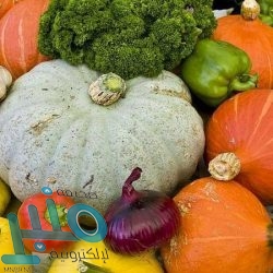 “أبل” تبدأ العمل على آيفون 12 وأنباء عن تأخر إطلاقه