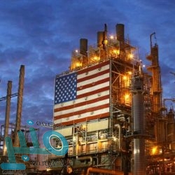 ضبط 5 طن من الحطب المحلي المصادر في خليص