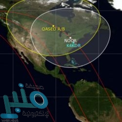 “مجموعة العشرين” تطرح مبادرة لتسريع الوصول للأدوات اللازمة لمكافحة كورونا