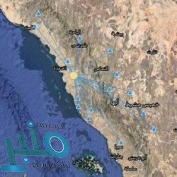 “أمانة الرياض” تتيح خدمة استقبال طلبات شراء المواشي وذبحها وتوصيلها للمنازل عبر الواتساب