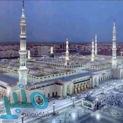 “البيئة” تكافح الجراد الصحراوي في 6 مناطق