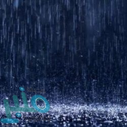 “التجارة” تكثف جولاتها للرقابة على الأسواق قبل رمضان