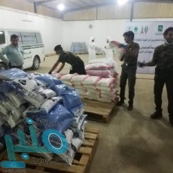 استمرارًا لجهود القيادة.. التعليم : نقل جميع الطلاب للصفوف التالية