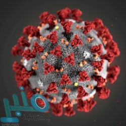 تعليم محايل عسير يعتمد صرف 38 مليون ريال مكافآت للطلاب والطالبات