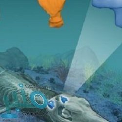 باب رزق جميل يوفر وظائف سائقين وفنيين ومناديب بعدة مدن بالمملكة