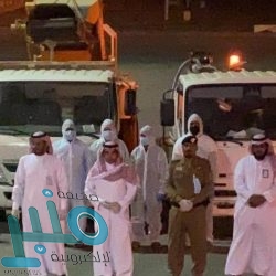 “التقاعد”: تمديد صرف المعاشات المقرر إيقافها