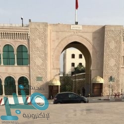 “البيئة” تضبط طنين من الفحم في العرضيات وتصادرها