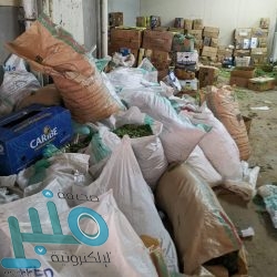 خادم الحرمين يوافق على السماح لمركبات الأجرة للعمل مع تطبيقات التوصيل