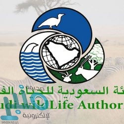 غرفة مكة تطلق “فوانيس رقمية” الخميس