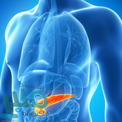 «واتسآب» يكشف عن ميزة جديدة تتعلق بالمكالمات الجماعية