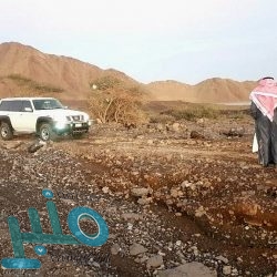 التخصصات الصحية تدعم القطاع الصحي بمنح تسجيل مؤقت لجميع الممارسين