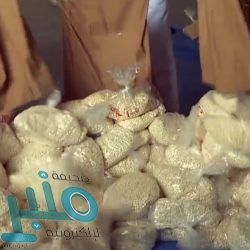 بتداولات أكثر من 5 مليارات ريال .. مؤشر سوق الأسهم السعودية يغلق مرتفعًا