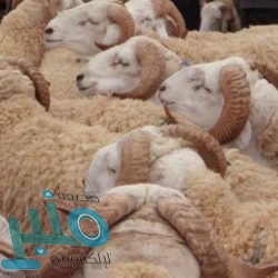 «المساحة الجيولوجية»: هزة أرضية بقوة 2.7 درجة في القنفذة