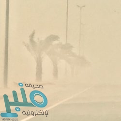 أكثر من 961 ألف مراجع للمراكز الصحية بحفر الباطن العام الماضي