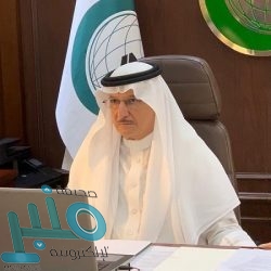 المؤسسة العامة للحبوب تطرح مناقصة لاستيراد 600 ألف طن شعير