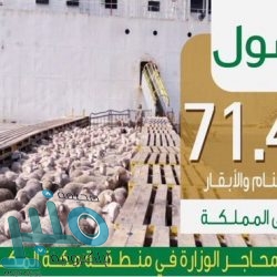 القبض على شخص وثق تجاوزه إحدى النقاط الأمنية بتهور خلال فترة منع التجول بالرياض