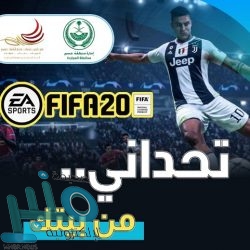 «الغذاء والدواء» توضح  شرط استخدام الزيوت النباتية في الطبخ أو القلي