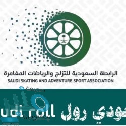 تنفيذ حكم القتل حداً بحق مقيم نفذ هجومًا بآلة حادة على فرقة استعراضية بالرياض