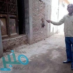 إبتسام الشهري: استمرار العملية التعليمية عن بُعد .. ونتائج نهاية العام عبر “نور”