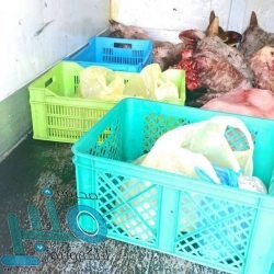 لجنة إزالة التعديات بالمجاردة تزيل التعديات والإحداثات بمركز خاط