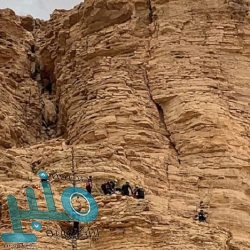 مدني تبوك ينقذ 4 أشخاص إثر حريق شقة سكنية بحي الروضة