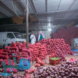 المؤسسة العامة للحبوب تطرح مناقصة لاستيراد 600 ألف طن شعير