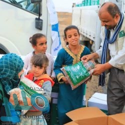 “ابن فرحان” يتلقى اتصالًا هاتفيًا من وزير خارجية النيجر