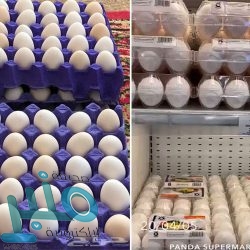 “الصحة” تعلن تسجيل 61 إصابة جديدة بفيروس كورونا في المملكة