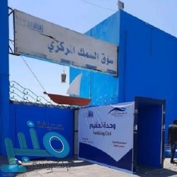 الأرصاد: سحب رعدية ممطرة ورياح مثيرة للأتربة على عدة مناطق