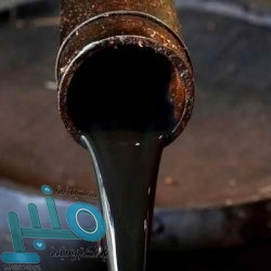 5 أنواع من الفاكهة لا غنى عنها في الصيف