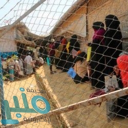 الضمان الصحي التعاوني والأمن السيبراني يوقعان مذكرة تفاهم