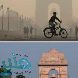 بعد الفئران.. تايلاند تجري تجارب على القرود لأجل “لقاح كورونا”