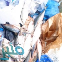 “آل الشيخ”: بعض المساجد يُسحب منها التيار لإنارة استراحات ومحطات بنزين وبيوت.. و”على عينك يا تاجر”