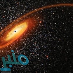 شرطة القصيم: ضبط ثلاثة متهمين بارتكاب جرائم سرقة المنازل