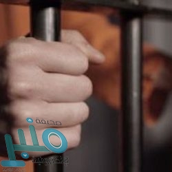 “الاتصالات” توقف شركة سمسا عن استقبال أي طلبات جديدة للأفراد