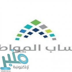 القبض على ثلاثة وافدين يزاولون المتاجرة بشرائح الاتصال في الرياض