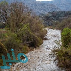 جامعة الطائف تعلن خطة وآلية عودة العمل في جميع مقراتها