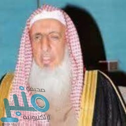 يقلل مخاطر أمراض القلب.. تعرف على فوائد البطيخ لصحة الإنسان