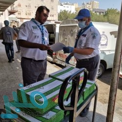 التأمينات تودع 1.2 مليار لـ 400 ألف مستفيد في المنشآت المتأثرة من كورونا